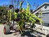 Schwader of the type CLAAS liner 4000, Gebrauchtmaschine in Lintrup (Picture 20)