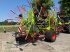 Schwader of the type CLAAS Liner 4700 Business Pro, Neumaschine in Rhede / Brual (Picture 10)
