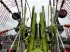 Schwader of the type CLAAS LINER 4800 BUSINESS PRO, Gebrauchtmaschine in Westerstede (Picture 11)