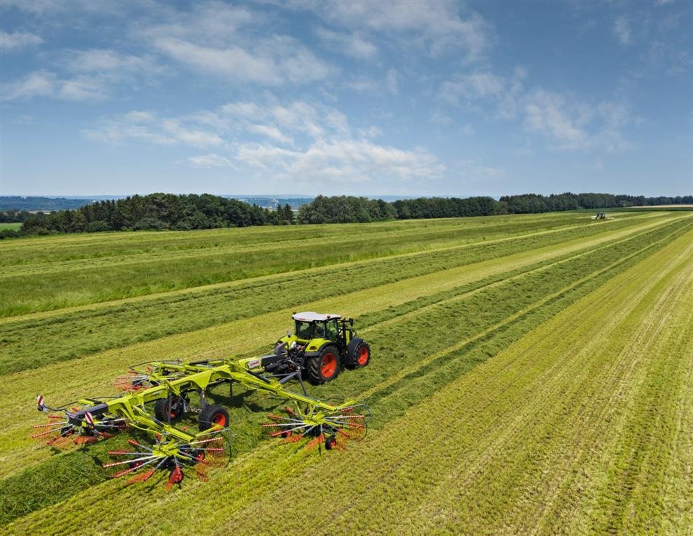 Schwader des Typs CLAAS Liner 4800 Business, Gebrauchtmaschine in Vinderup (Bild 2)