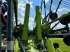 Schwader des Typs CLAAS LINER 4900 BUSINESS, Gebrauchtmaschine in Westerstede (Bild 10)