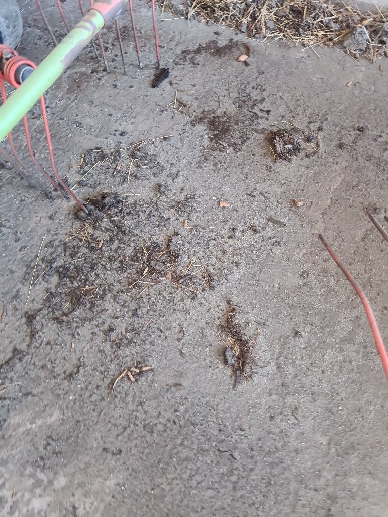 Schwader tipa CLAAS Liner 650 TWIN, Gebrauchtmaschine u Calmont (Slika 6)