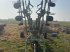 Schwader tip CLAAS Liner 880 Profil, Gebrauchtmaschine in Ribe (Poză 11)