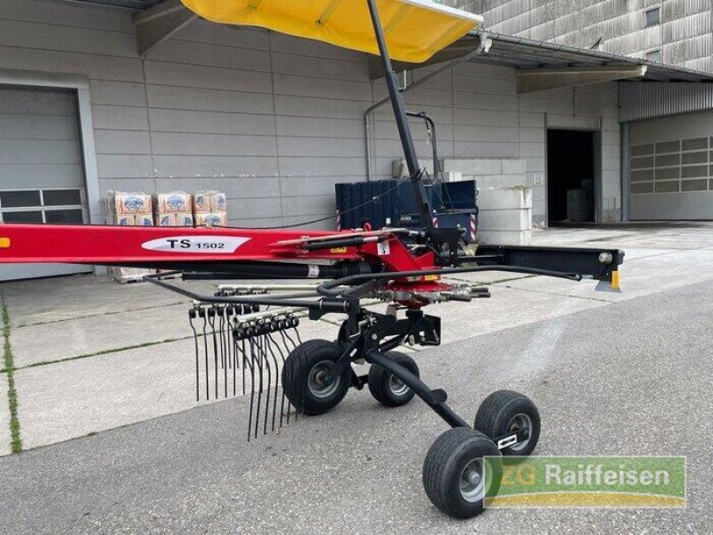 Schwader Türe ait Fella TS 1502, Gebrauchtmaschine içinde Bruchsal (resim 10)