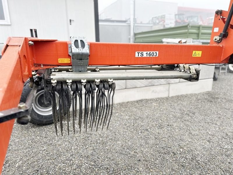 Schwader of the type Fella TS 1603 Doppelschwader, Gebrauchtmaschine in St. Marienkirchen (Picture 8)