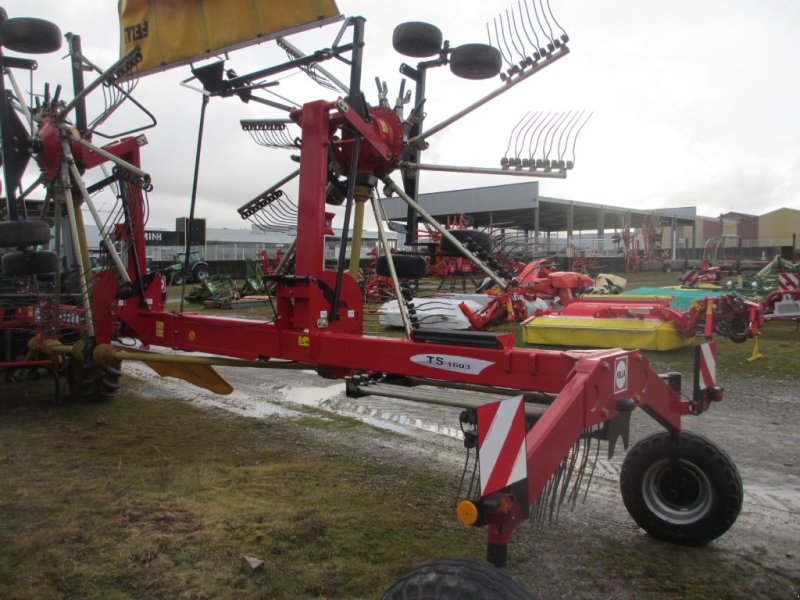 Schwader типа Fella TS 1603, Gebrauchtmaschine в RODEZ (Фотография 1)