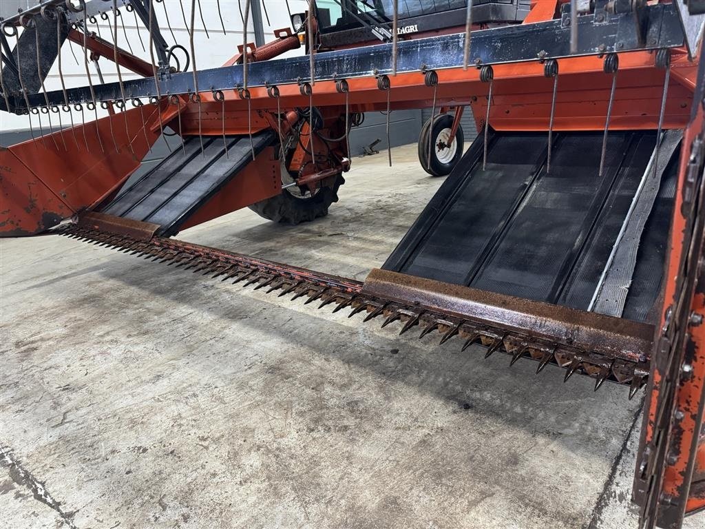 Schwader typu Fiatagri 8100 12 fod, Gebrauchtmaschine v Haderup (Obrázek 11)