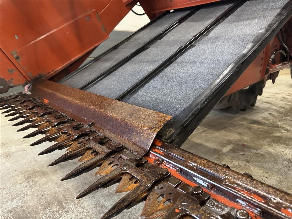 Schwader typu Fiatagri 8100 12 fod, Gebrauchtmaschine v Haderup (Obrázek 13)