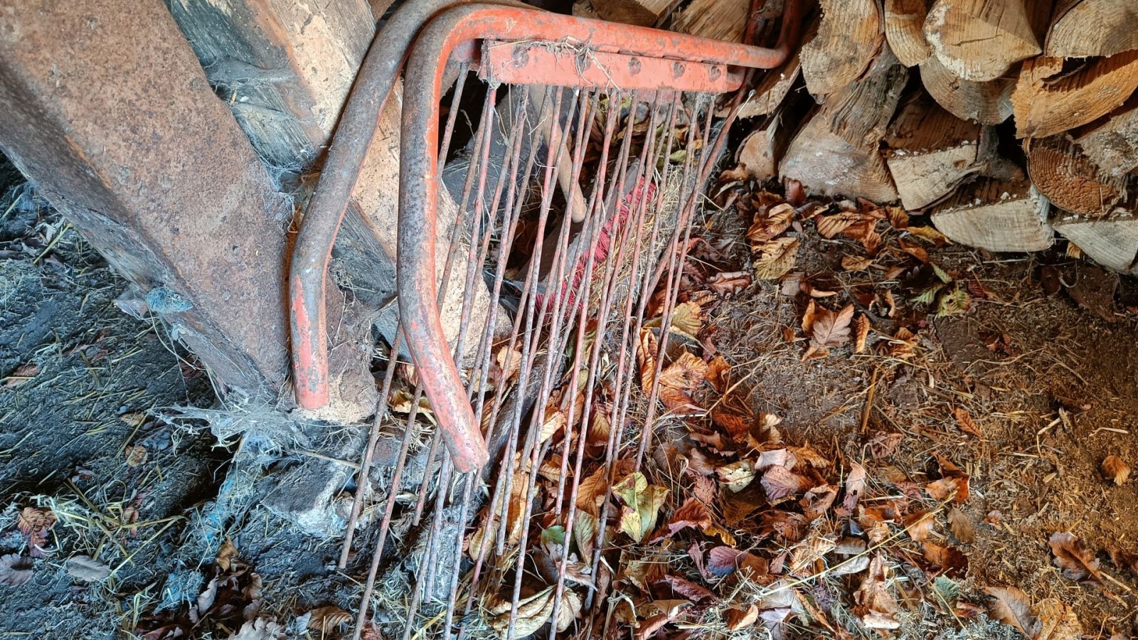 Schwader des Typs Fransgard IK 320 Sælges momsfri, Gebrauchtmaschine in Egtved (Bild 8)