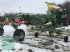 Schwader des Typs Krone SWADRO 1010, Gebrauchtmaschine in Mindelheim (Bild 19)