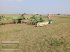 Schwader des Typs Krone Swadro 1201, Gebrauchtmaschine in Gampern (Bild 6)