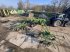 Schwader del tipo Krone Swadro 1400 Plus, Gebrauchtmaschine In Leusden (Immagine 4)