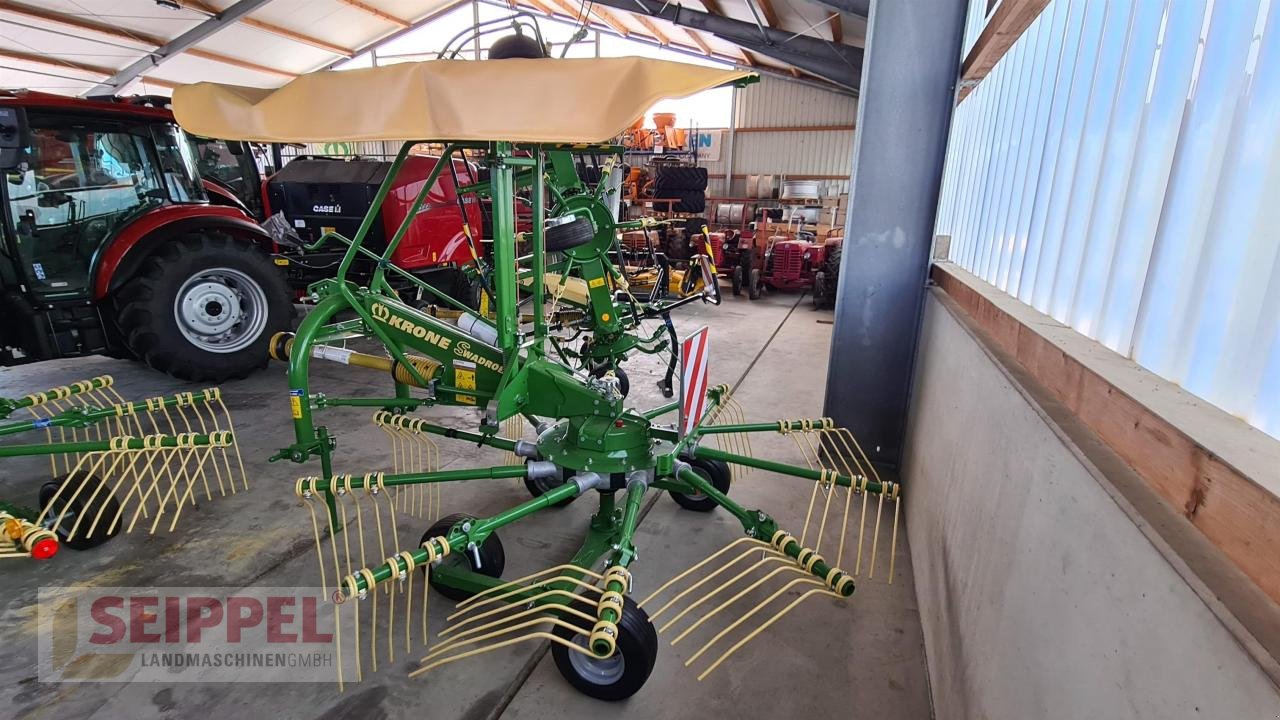 Schwader Türe ait Krone SWADRO S 420, Neumaschine içinde Groß-Umstadt (resim 1)