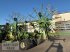 Schwader типа Krone Swadro TC 1370 *nur 4460ha*, Gebrauchtmaschine в Emsbüren (Фотография 10)