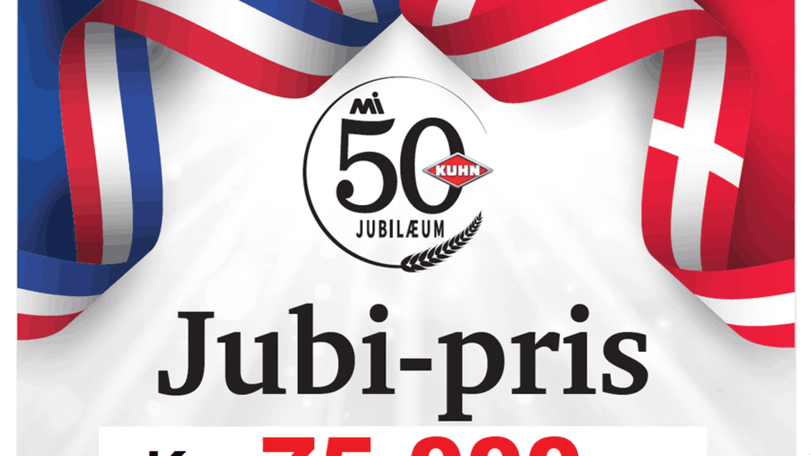 Schwader des Typs Kuhn GF 5203, Gebrauchtmaschine in Ringe (Bild 2)