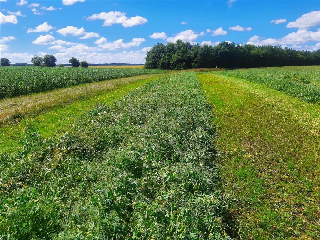 Schwader tipa MacDon Reservedele MacDon Opbygning Wide-Body Edition, Gebrauchtmaschine u Hjørring (Slika 5)