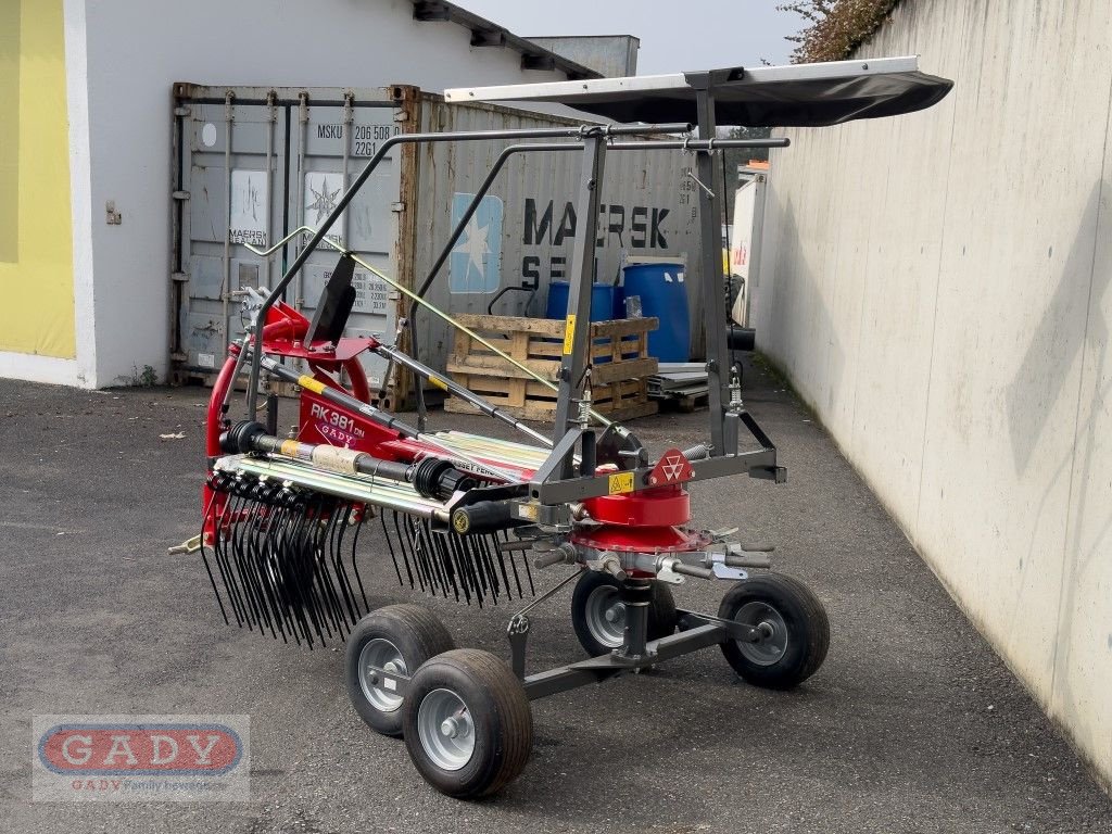 Schwader типа Massey Ferguson RK381DN SCHWADER, Neumaschine в Lebring (Фотография 2)