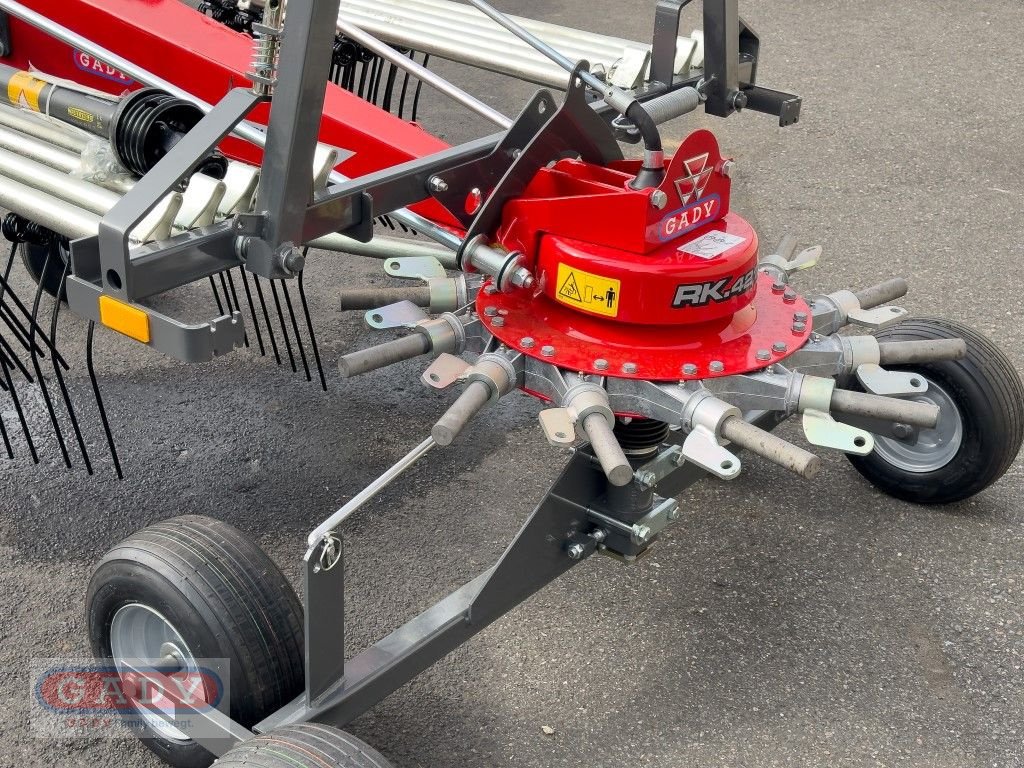 Schwader του τύπου Massey Ferguson RK421DN SCHWADER, Neumaschine σε Lebring (Φωτογραφία 9)