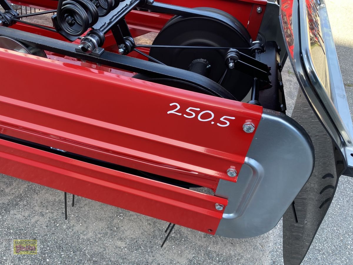 Schwader des Typs Molon 250/5, Neumaschine in Kötschach (Bild 5)