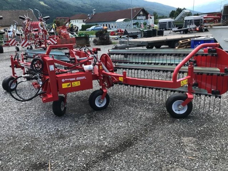 Schwader Türe ait Repossi Frontschwader 6000FL BIG Kammschwader, Neumaschine içinde Tamsweg (resim 5)