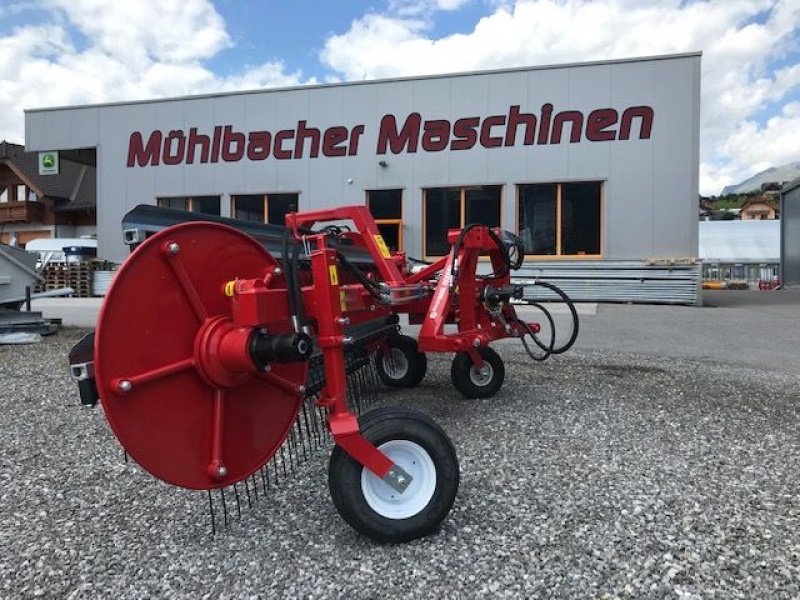 Schwader Türe ait Repossi Frontschwader 6000FL BIG Kammschwader, Neumaschine içinde Tamsweg (resim 9)