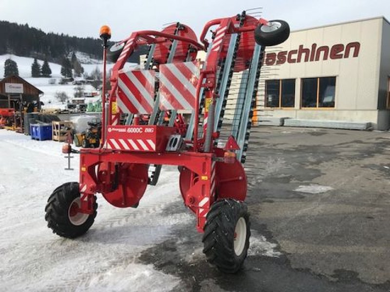 Schwader tip Repossi Kammschwader 6000C BIG gezogen 6m, Neumaschine in Tamsweg (Poză 8)