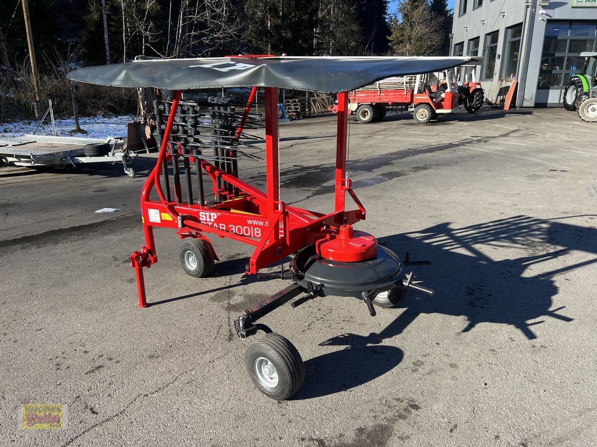 Schwader of the type SIP Star 300/8 ALP, Neumaschine in Kötschach (Picture 11)