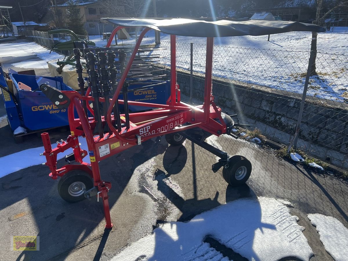 Schwader of the type SIP Star 300/8 ALP, Neumaschine in Kötschach (Picture 21)