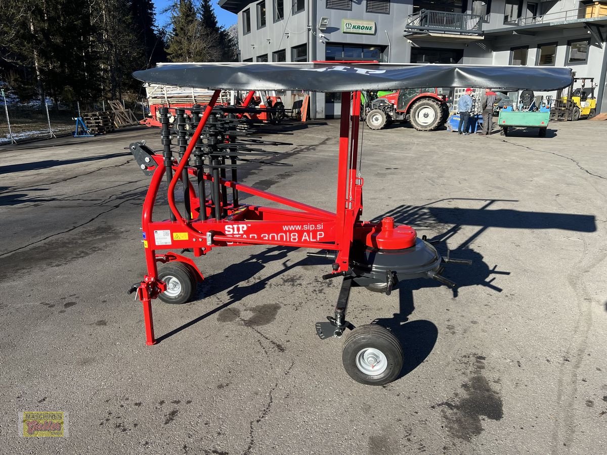 Schwader of the type SIP Star 300/8 ALP, Neumaschine in Kötschach (Picture 12)