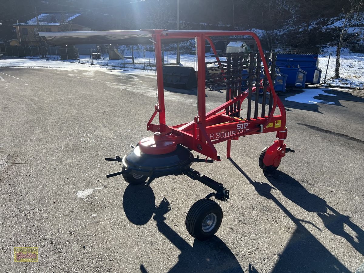 Schwader of the type SIP Star 300/8 ALP, Neumaschine in Kötschach (Picture 14)