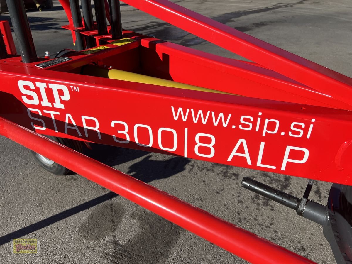 Schwader des Typs SIP Star 300/8 ALP, Neumaschine in Kötschach (Bild 21)