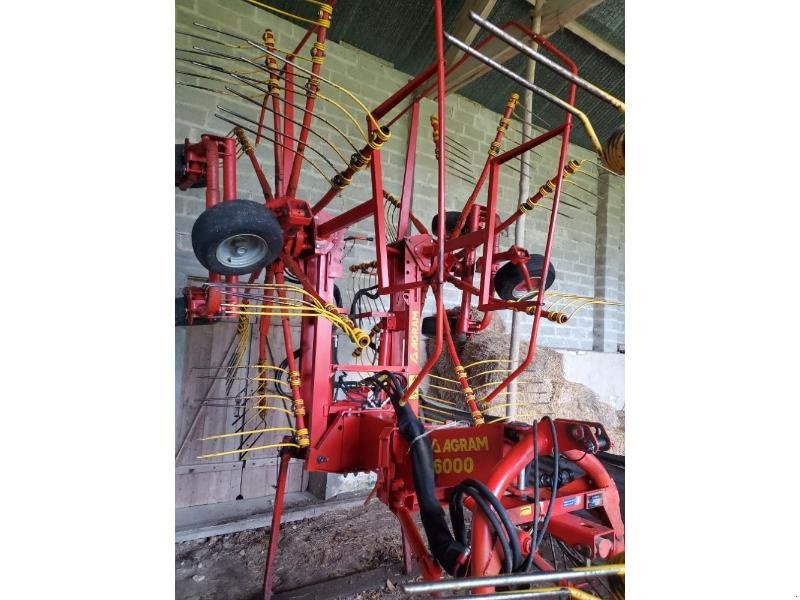 Schwader of the type Sonstige 6000, Gebrauchtmaschine in BRAY en Val (Picture 1)