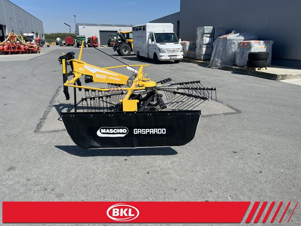 Schwader του τύπου Sonstige PONENTE 290/320/360/420/450, Neumaschine σε Rovisce (Φωτογραφία 16)