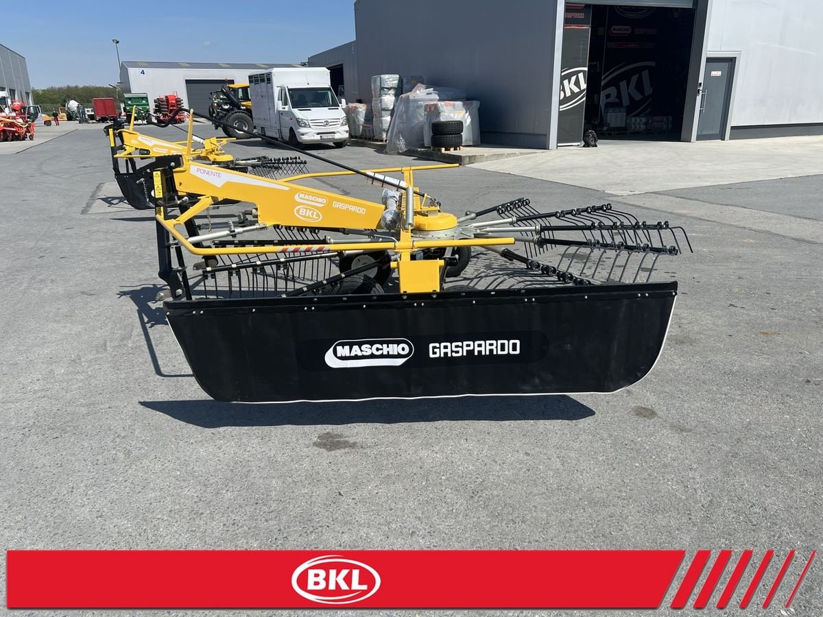 Schwader του τύπου Sonstige PONENTE 290/320/360/420/450, Neumaschine σε Rovisce (Φωτογραφία 24)