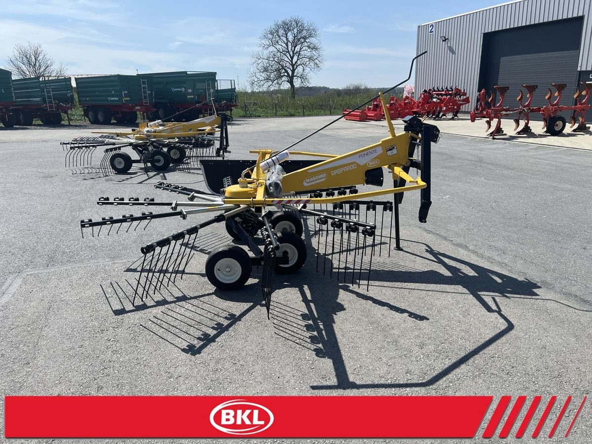 Schwader του τύπου Sonstige PONENTE 290/320/360/420/450, Neumaschine σε Rovisce (Φωτογραφία 12)