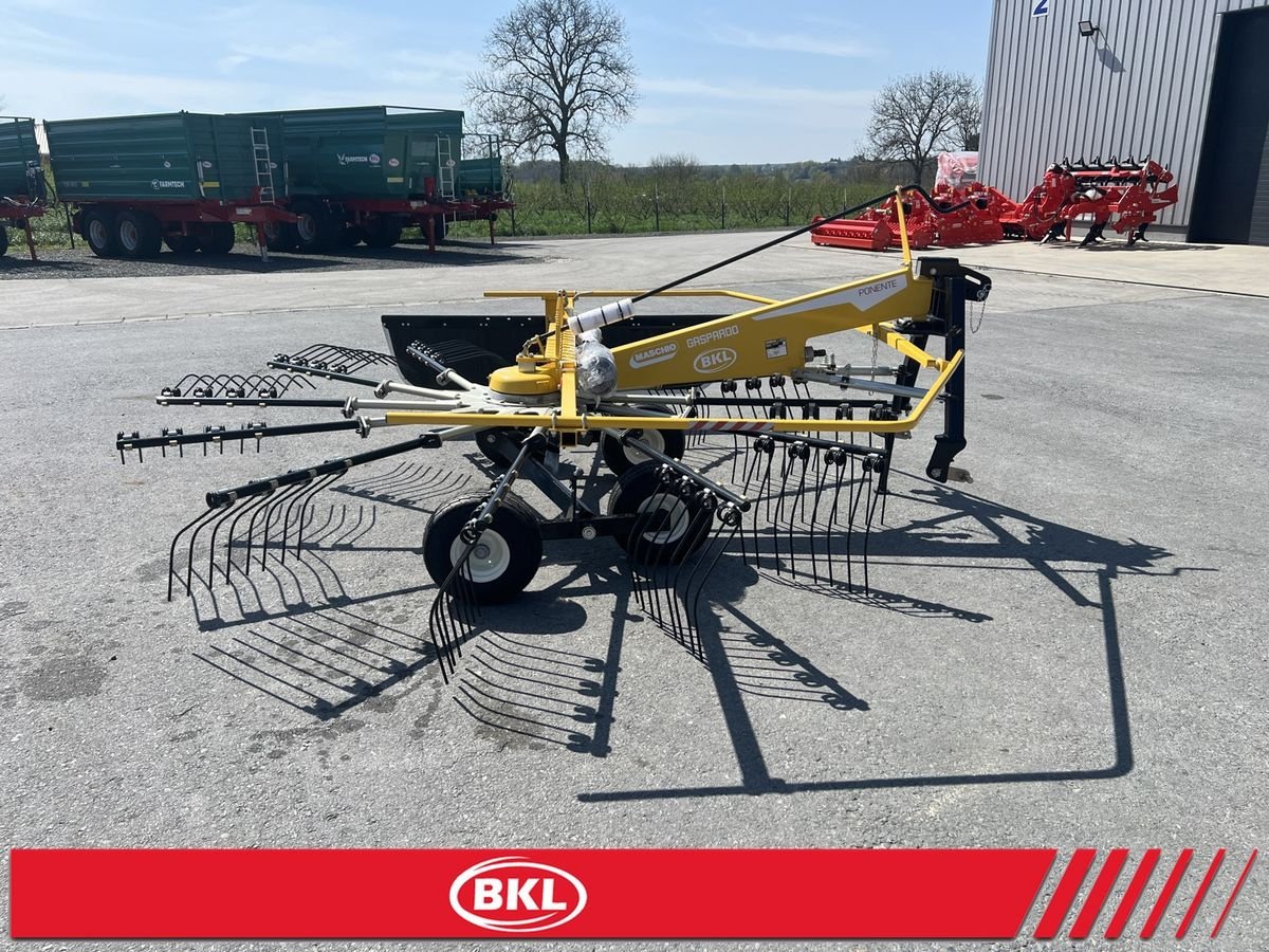 Schwader του τύπου Sonstige PONENTE 290/320/360/420/450, Neumaschine σε Rovisce (Φωτογραφία 20)