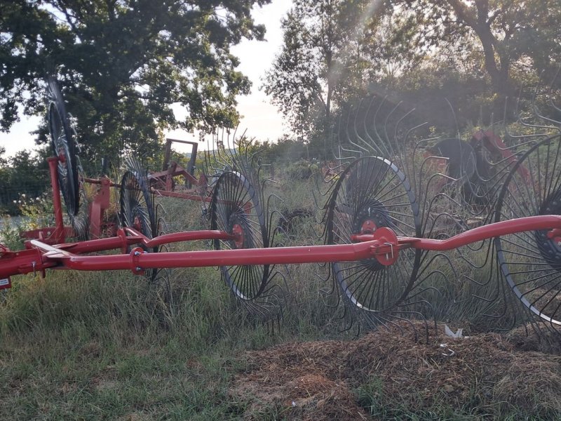 Schwader des Typs Sonstige Sternradschwader Faza IntNr 12081, Gebrauchtmaschine in Strem (Bild 1)