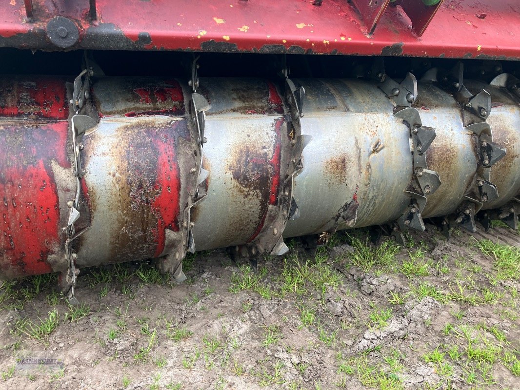 Selbstfahrer Futtermischwagen Türe ait Strautmann VERTI MIX 1701 SF DO, Gebrauchtmaschine içinde Aurich (resim 13)