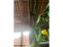 Selbstfahrspritze za tip John Deere R4040, Gebrauchtmaschine u ROYE (Slika 11)