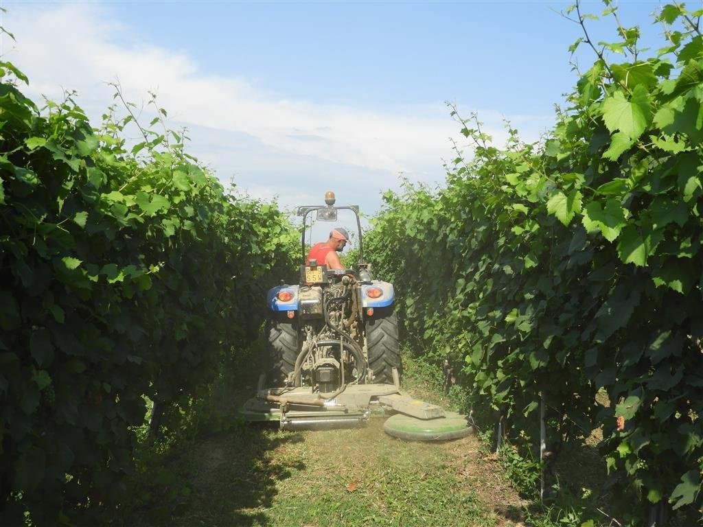 Sichelmäher типа Sonstige GB 150H Med Disk, Gebrauchtmaschine в Herning (Фотография 3)