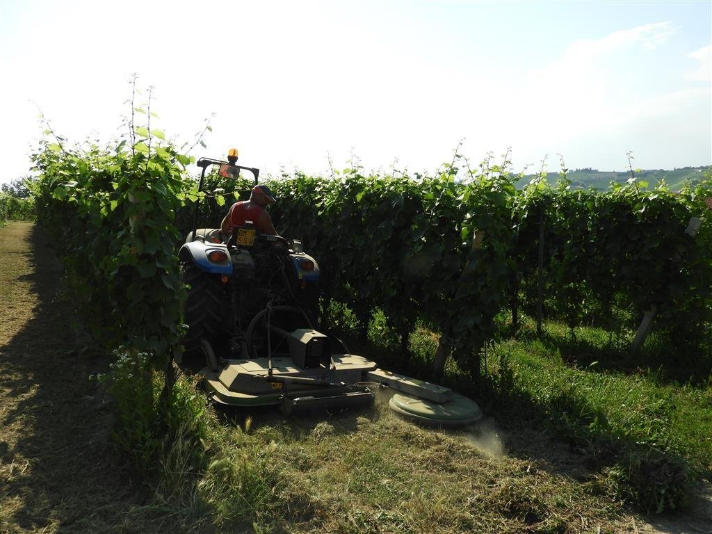 Sichelmäher типа Sonstige GB 150H Med Disk, Gebrauchtmaschine в Herning (Фотография 4)