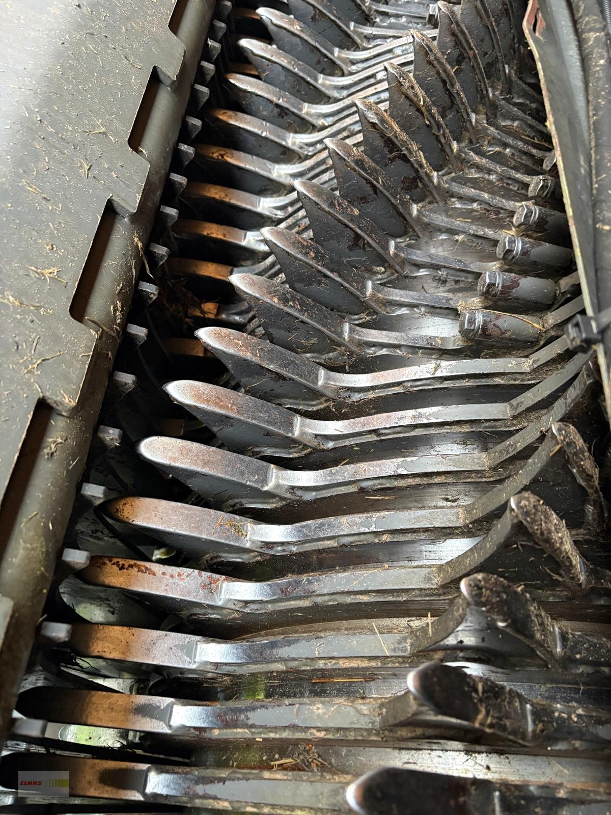 Silierwagen a típus CLAAS Cargos 8300, Gebrauchtmaschine ekkor: Langenau (Kép 14)