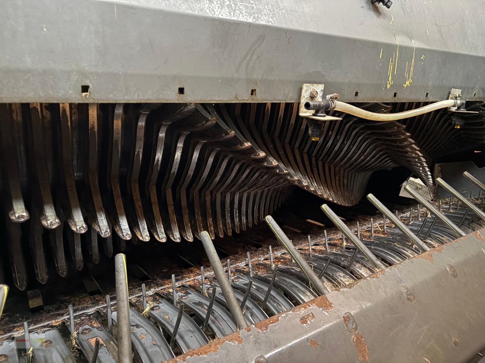 Silierwagen a típus CLAAS Cargos 8300, Gebrauchtmaschine ekkor: Langenau (Kép 15)