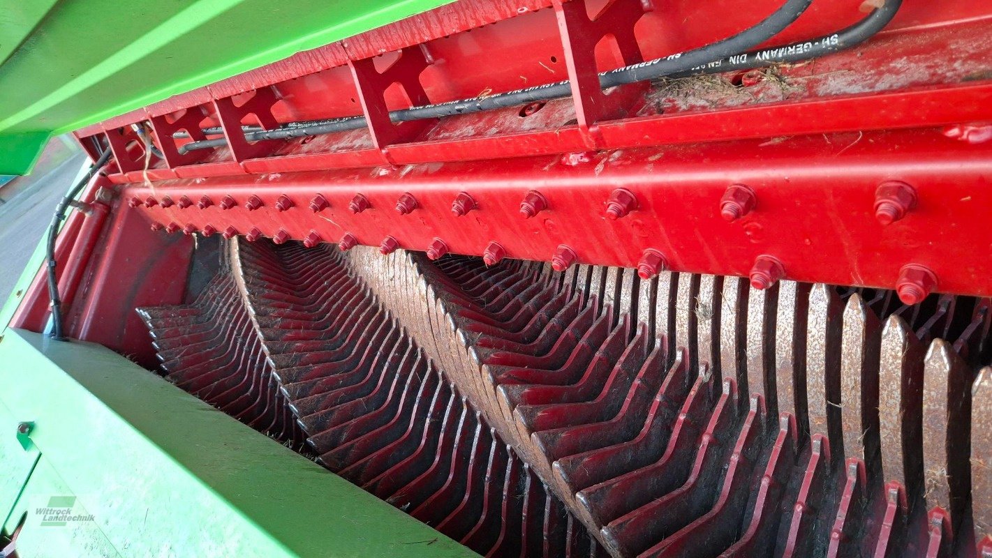 Silierwagen des Typs Strautmann Tera-Vitesse 4201, Gebrauchtmaschine in Rhede / Brual (Bild 26)