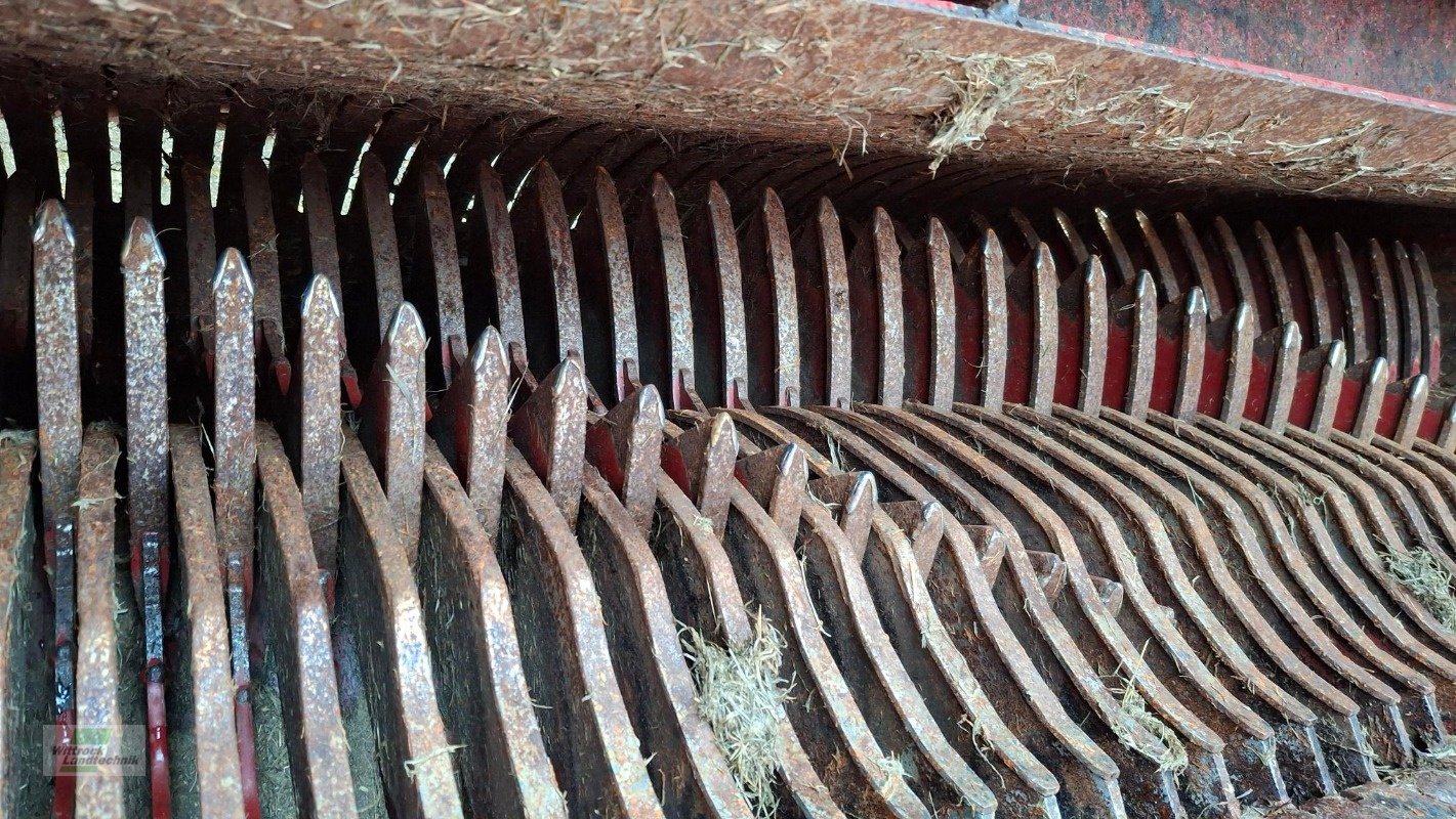 Silierwagen des Typs Strautmann Tera-Vitesse 4201, Gebrauchtmaschine in Rhede / Brual (Bild 20)