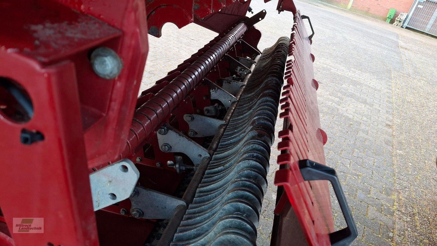 Silierwagen des Typs Strautmann Tera-Vitesse 4201, Gebrauchtmaschine in Rhede / Brual (Bild 15)