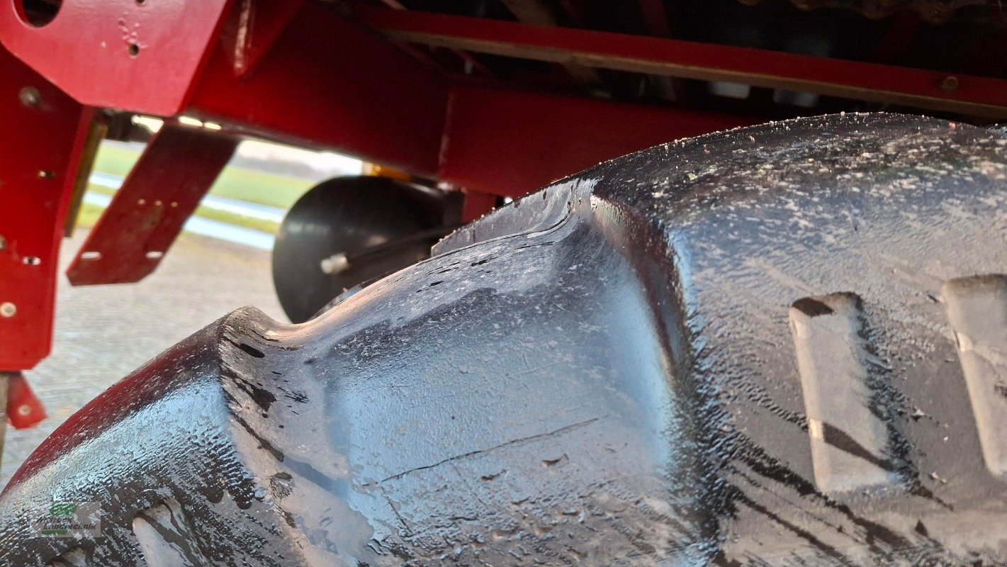 Silierwagen des Typs Strautmann Tera-Vitesse 4201, Gebrauchtmaschine in Rhede / Brual (Bild 13)