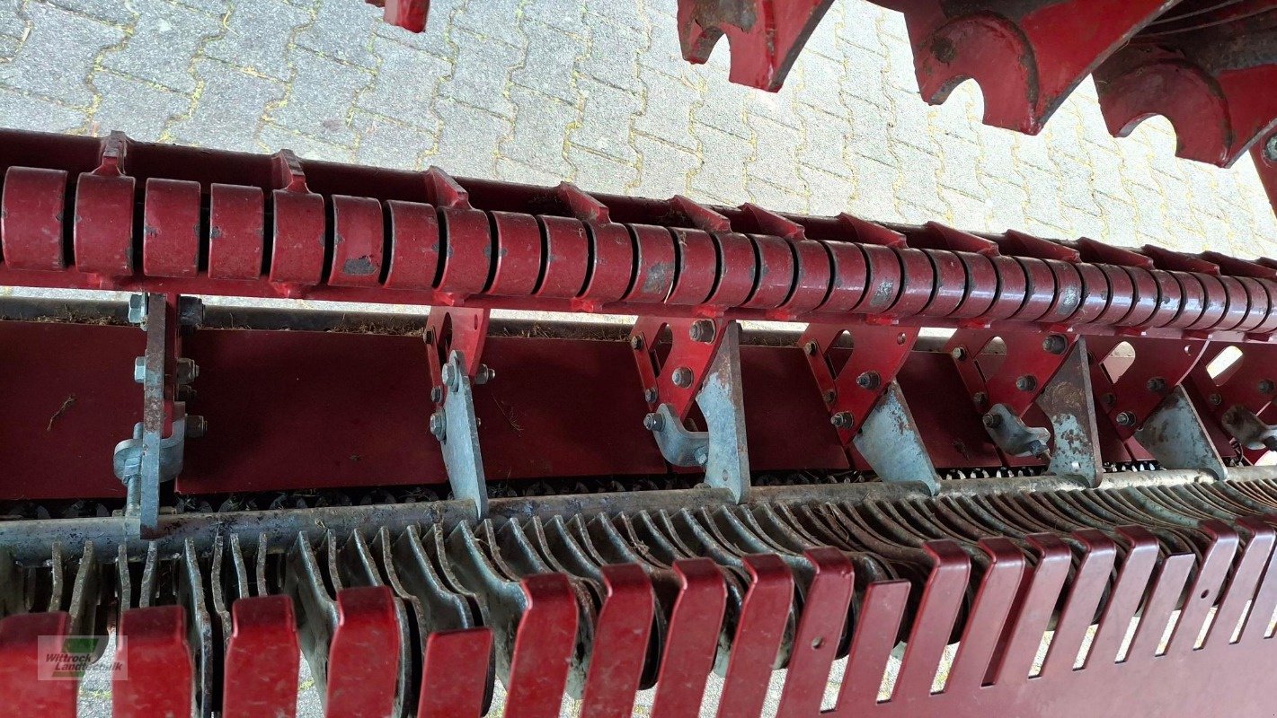 Silierwagen des Typs Strautmann Tera-Vitesse 4201, Gebrauchtmaschine in Rhede / Brual (Bild 17)