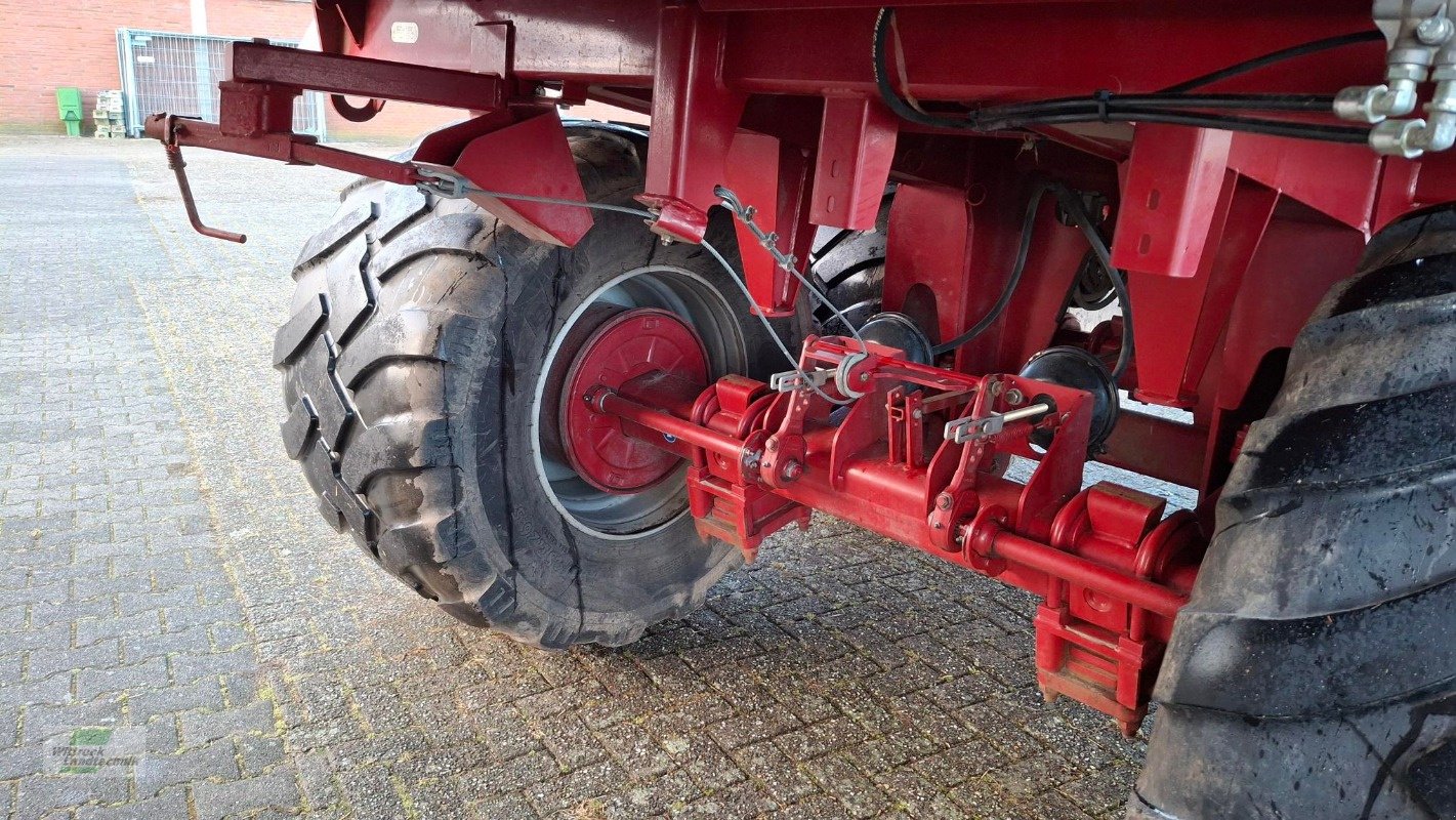 Silierwagen des Typs Strautmann Tera-Vitesse 4201, Gebrauchtmaschine in Rhede / Brual (Bild 14)