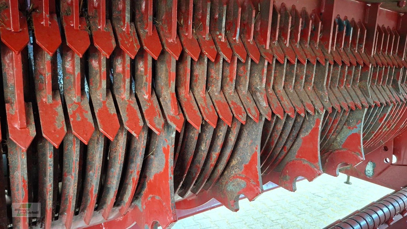 Silierwagen des Typs Strautmann Tera-Vitesse 4201, Gebrauchtmaschine in Rhede / Brual (Bild 16)